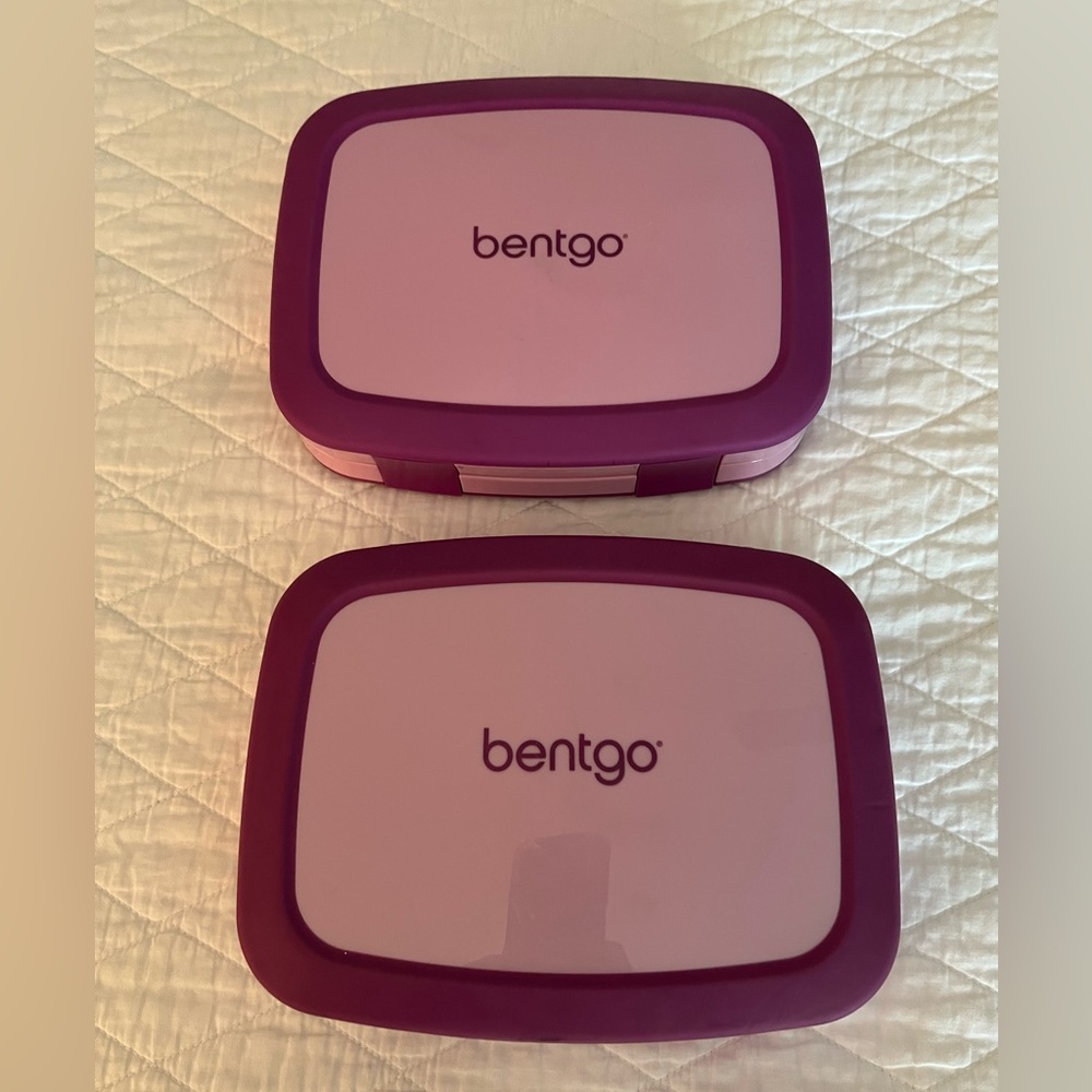 Bento Lunchbox - Set of 2